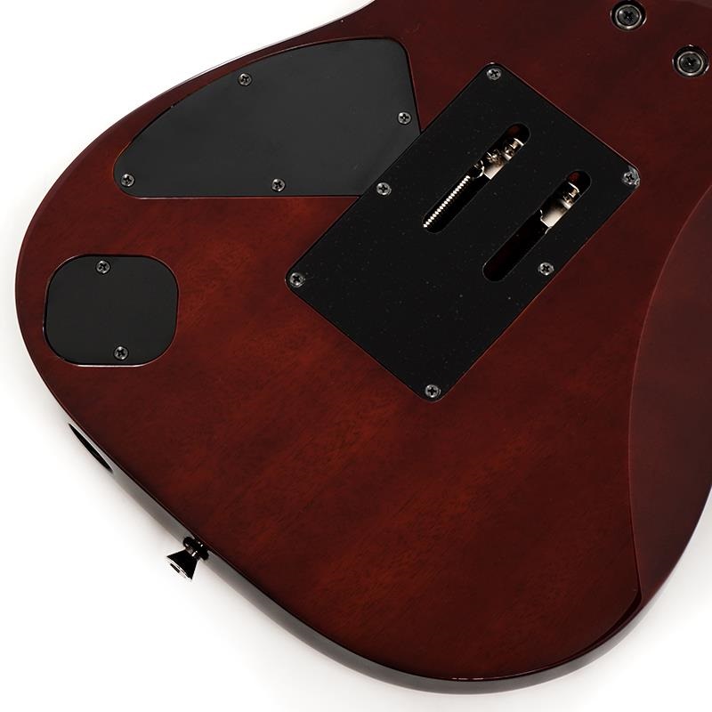 Ibanez j.custom RG8570-BSR (Brownish Sphalerite) [SPOT MODEL] SN.F2422056 画像7