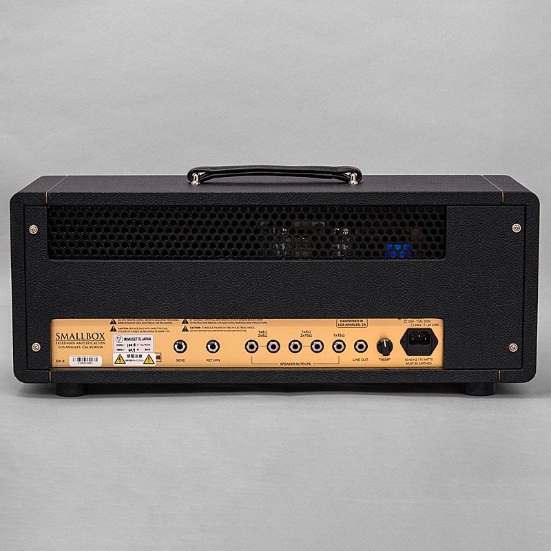 FRIEDMAN SMALL BOX 50W HEAD（フリードマン） 画像2