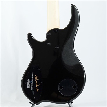 DINGWALL JT-3 5st John Taylor Signature Model (Metallic Black/PF) 画像4