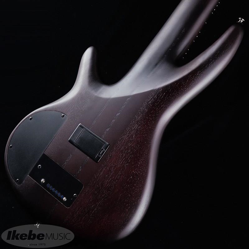 Ibanez Bass Workshop SRF706-BBF 【特価】 画像5