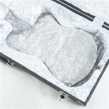 アイバニーズ　デストロイヤー2 DT−450 ハードケース、純正ソフトケース付き IBANEZ 純正ハードケース Prestigeロゴ RG系 アイバニーズ②