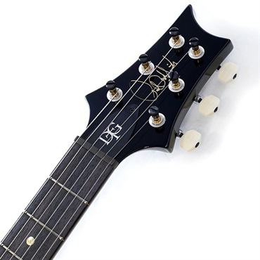 P.R.S. DGT Semi-Hollow Limited Edition Pilot Run (Faded Whale Blue) SN.0389026 画像8