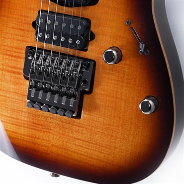 Ibanez j.custom RG8570-BSR (Brownish Sphalerite) [SPOT MODEL] SN.F2422060 画像4
