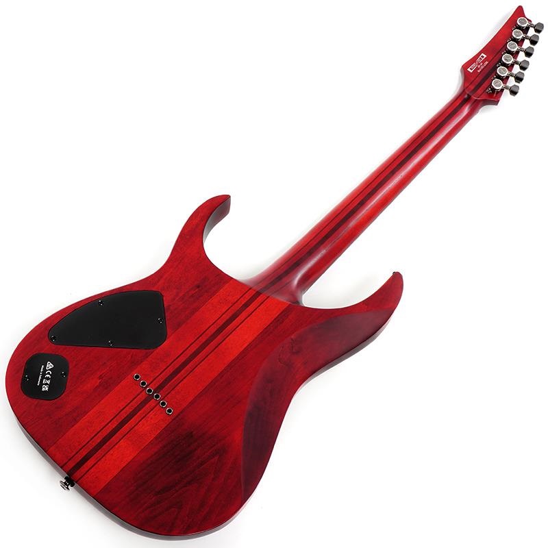 Ibanez アーチトップギター 赤 数量限定 4000円OFF!】 Ibanez AAM50CE CRO (Coral Red Burst Open