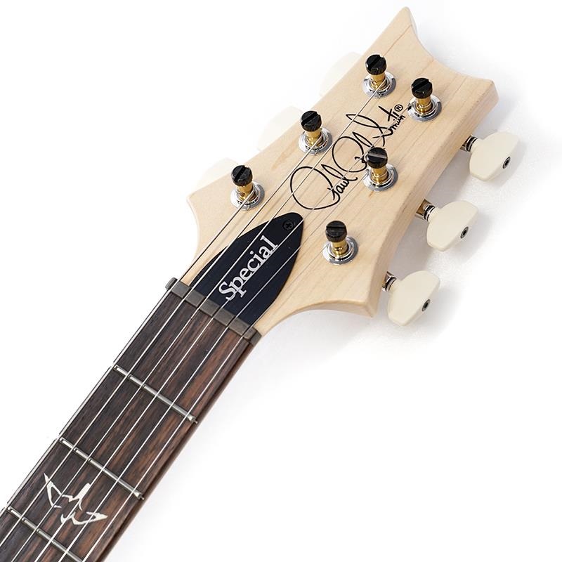 P.R.S. Swamp Ash Special (Jasper Smokeburst) SN.0403759 画像8