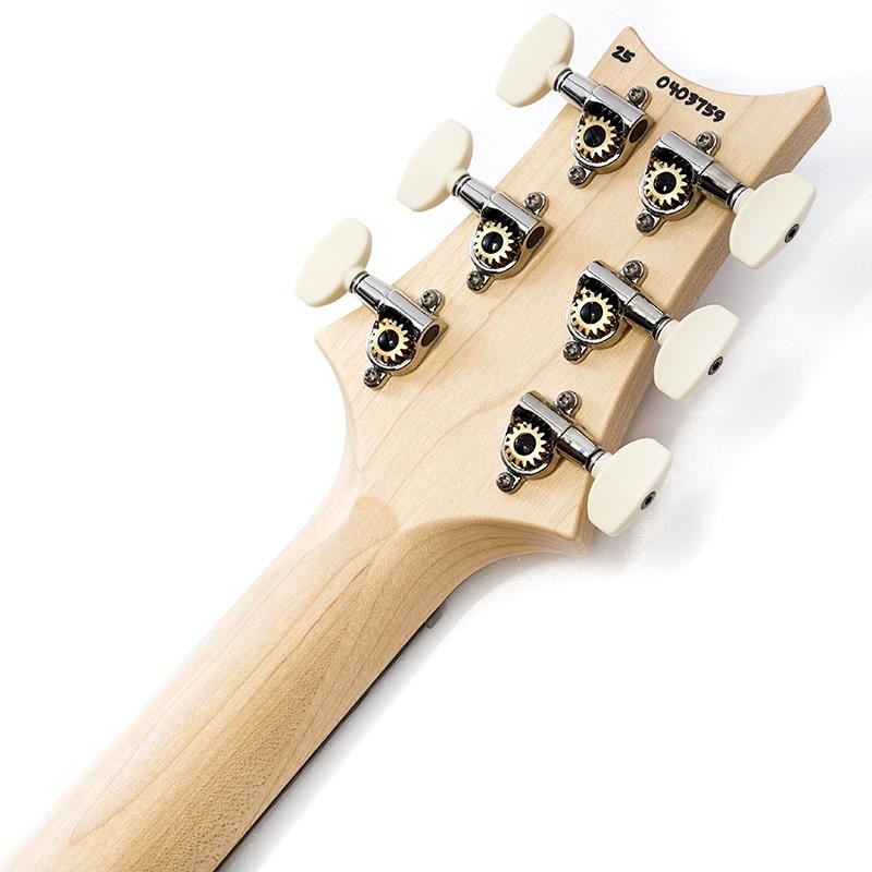 P.R.S. Swamp Ash Special (Jasper Smokeburst) SN.0403759 画像9