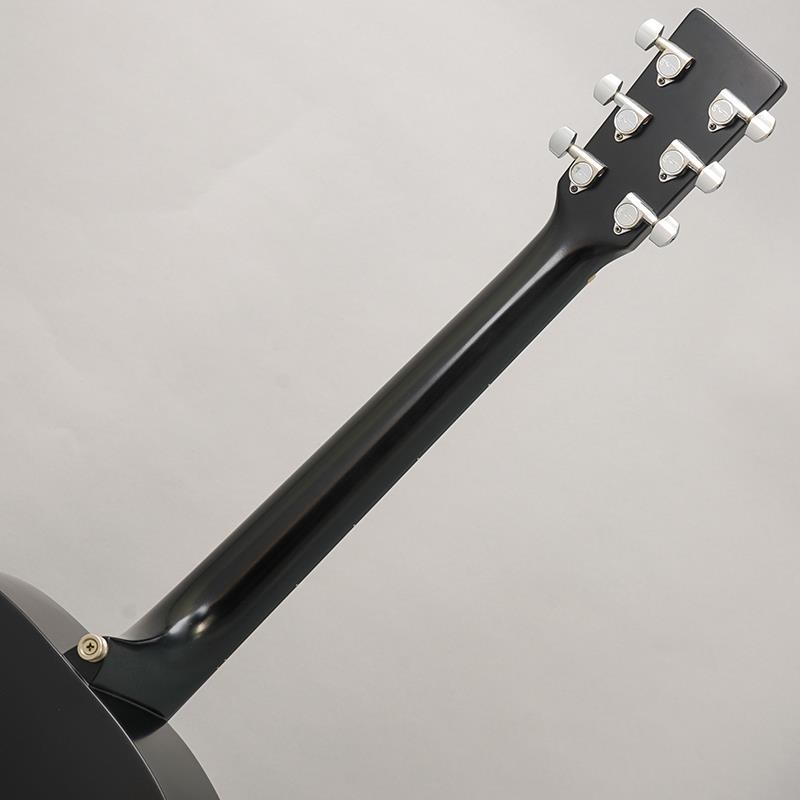 MARTIN 【USED】 D-16GT BLK マーチン マーティン 画像8