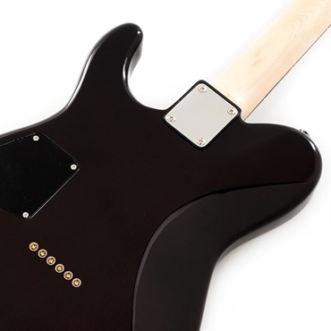 SCHECTER KR-24-2H-FXD (See-thru Black/R) 画像5