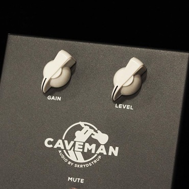 Caveman Audio BP1C [Compact Bass Preamp/DI pedal] 画像1