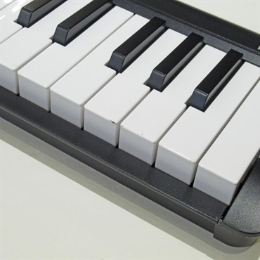 KORG USED 中古 microKEY25 USB-POWERED KEYBOARD 画像3