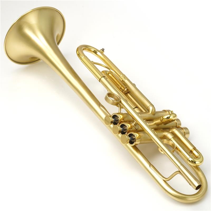 管楽器・吹奏楽器 Ultimate Brass 4.1 その他ブランド(管楽器・吹奏楽器) USED 中古 Instru Vents