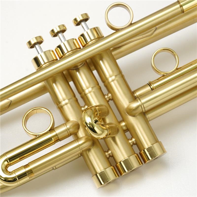 その他ブランド(管楽器・吹奏楽器) USED 中古 Instru Vents