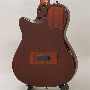 Godin USED 中古 Multiac Nylon Duet Ambience ゴダン 画像1