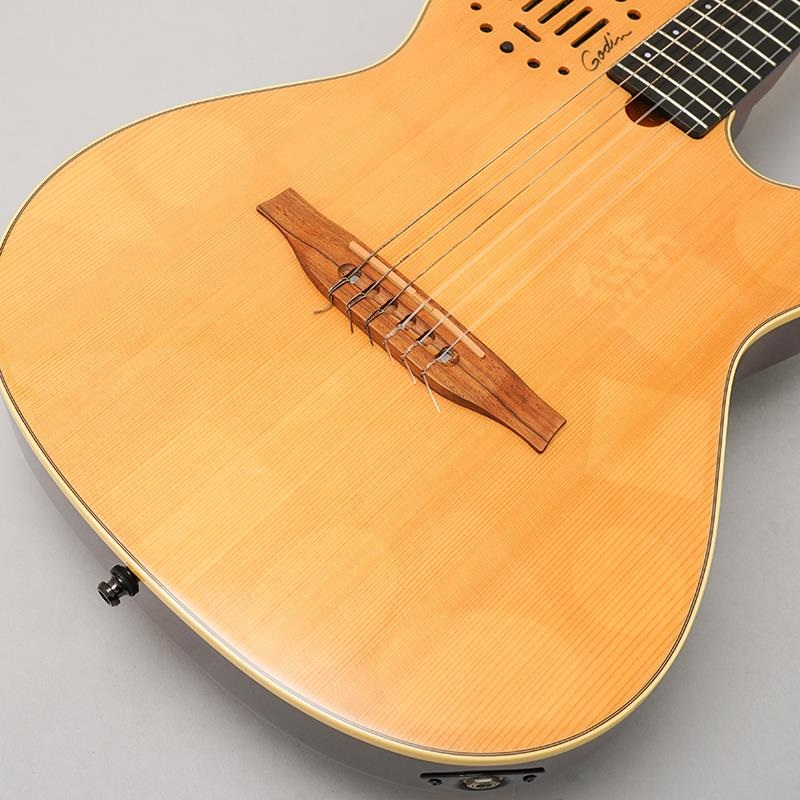 Godin USED 中古 Multiac Nylon Duet Ambience ゴダン 画像8