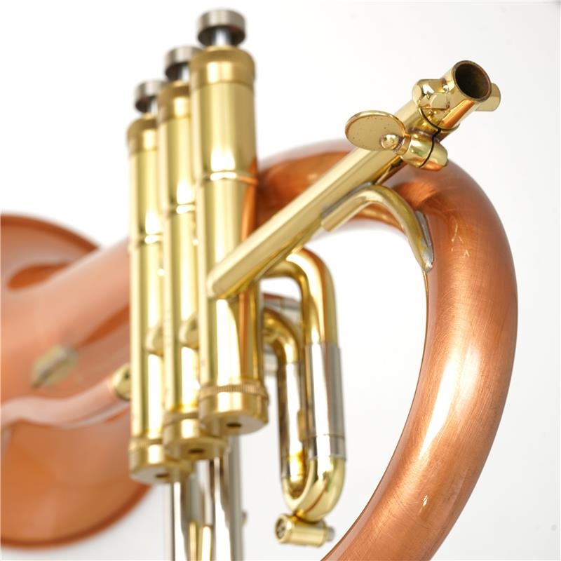 Taylor(管) USED 中古  テイラー / Phat boy 【Bb フリューゲル ホルン】【出荷前調整で安心】【史上最大決算セール】 画像4