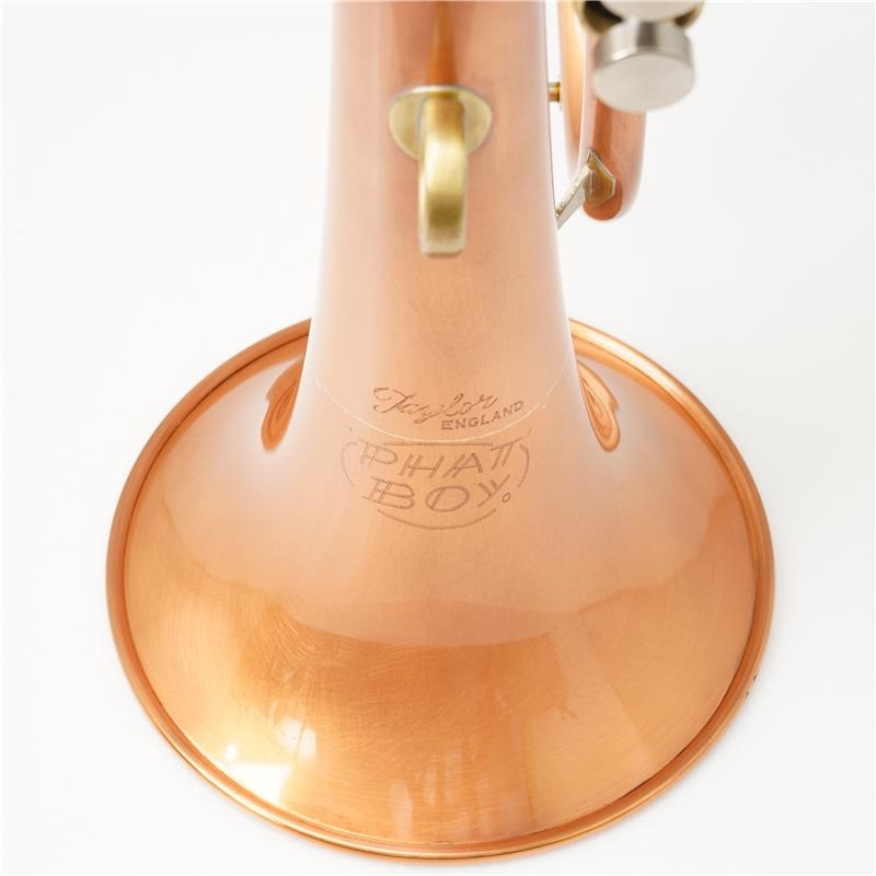 Taylor(管) USED 中古  テイラー / Phat boy 【Bb フリューゲル ホルン】【出荷前調整で安心】【史上最大決算セール】 画像7