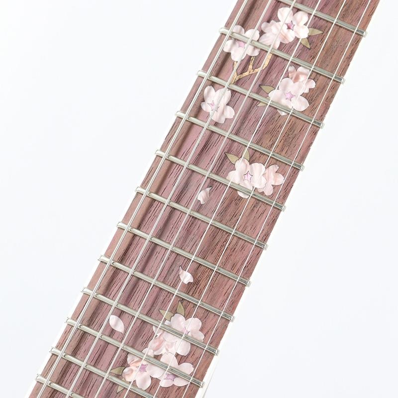 momose 【7月上旬以降入荷予定】 MSG-SAKURA SP'25/PH (PKG