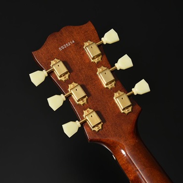 Circuit Abbey ADSR JR & Expander セット Seventy Seven Japan Tune-Up Series ALBATROSS-JAZZ-JT (SB) 【ディ