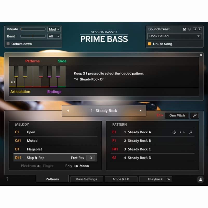 Native Instruments Session Bassist - Prime Bass(オンライン納品)(2時間以内に納品) 画像2