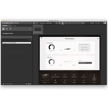 Native Instruments Stradivari Violin(オンライン納品)(2時間以内に納品) 画像2