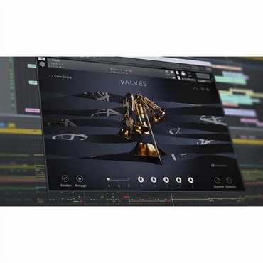 Native Instruments Valves(オンライン納品)(2時間以内に納品) 画像2