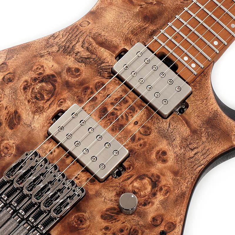 Ibanez Q52PB-ABS [SPOT MODEL]【特価】 ｜イケベ楽器店