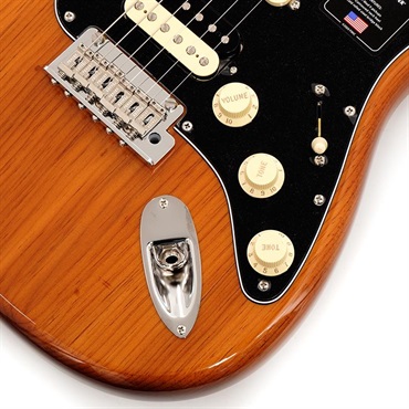 Fender USA American Professional II Stratocaster HSS (Roasted Pine /Maple)【旧価格品】 画像4