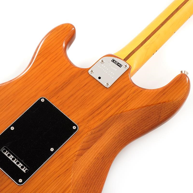 Fender USA American Professional II Stratocaster HSS (Roasted Pine /Maple)【旧価格品】 画像5