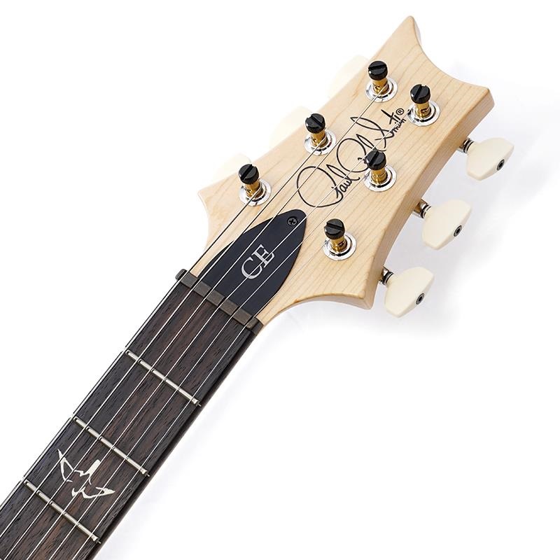 P.R.S. CE 22 Limited Edition (Black Amber) SN.0404031 画像8