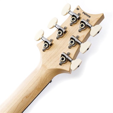 P.R.S. CE 22 Limited Edition (Black Amber) SN.0404031 画像9