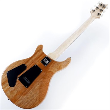 P.R.S. CE 22 Limited Edition (Carroll Blue) SN.0405424 画像2