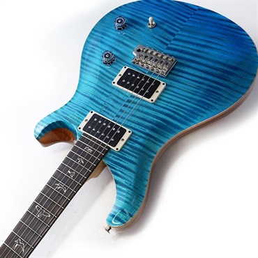 P.R.S. CE 22 Limited Edition (Carroll Blue) SN.0405424 画像5