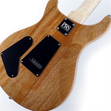P.R.S. CE 22 Limited Edition (Carroll Blue) SN.0405424 画像7
