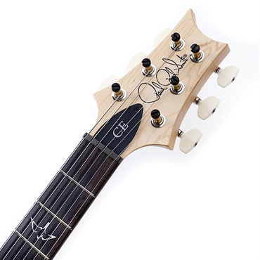P.R.S. CE 22 Limited Edition (Carroll Blue) SN.0405424 画像8
