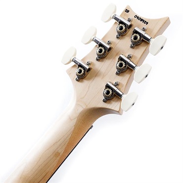 P.R.S. CE 22 Limited Edition (Carroll Blue) SN.0405424 画像9