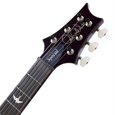 P.R.S. S2 Special Semi-Hollow (Fire Red Burst) SN.S2079735 画像8