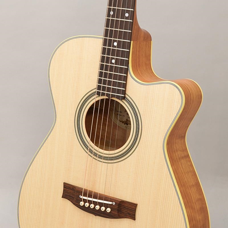 MATON EBG808TE メイトン MATON EBG808TE - Tommy Emmanuel - #29878 メイトン ｜イケベ楽器店