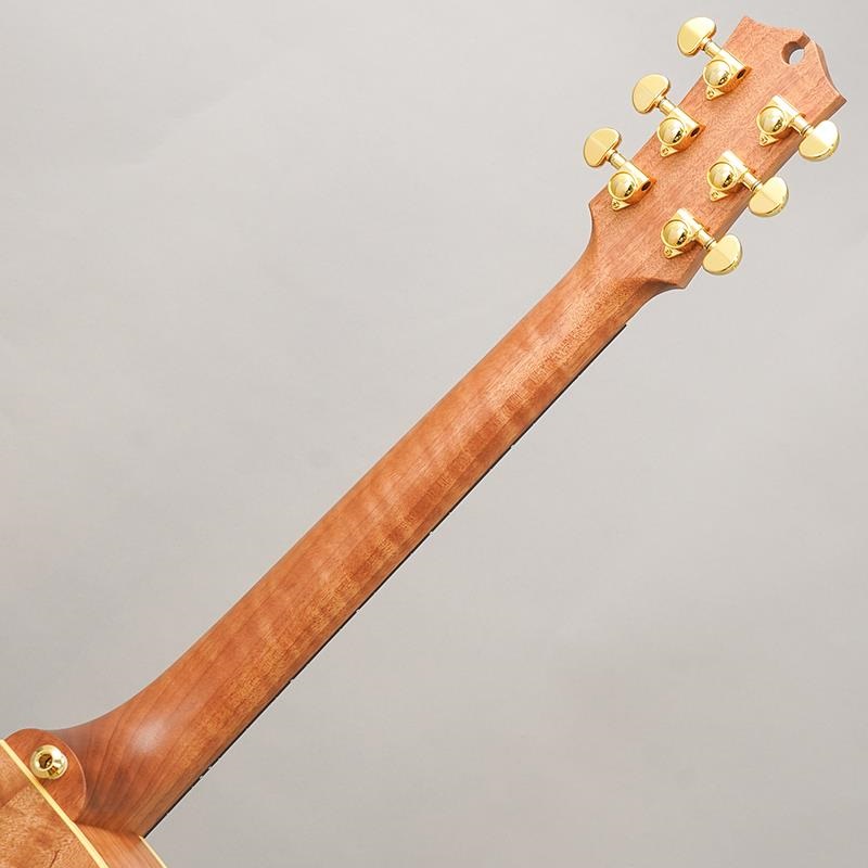 MATON EBG808PF LTD Natural 【10本限定モデル】 メイトン