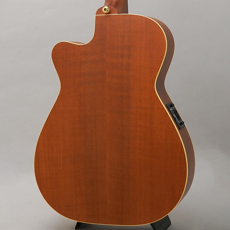 MATON EBG808PF LTD Orange Mouse 【10本限定モデル】 メイトン 画像1