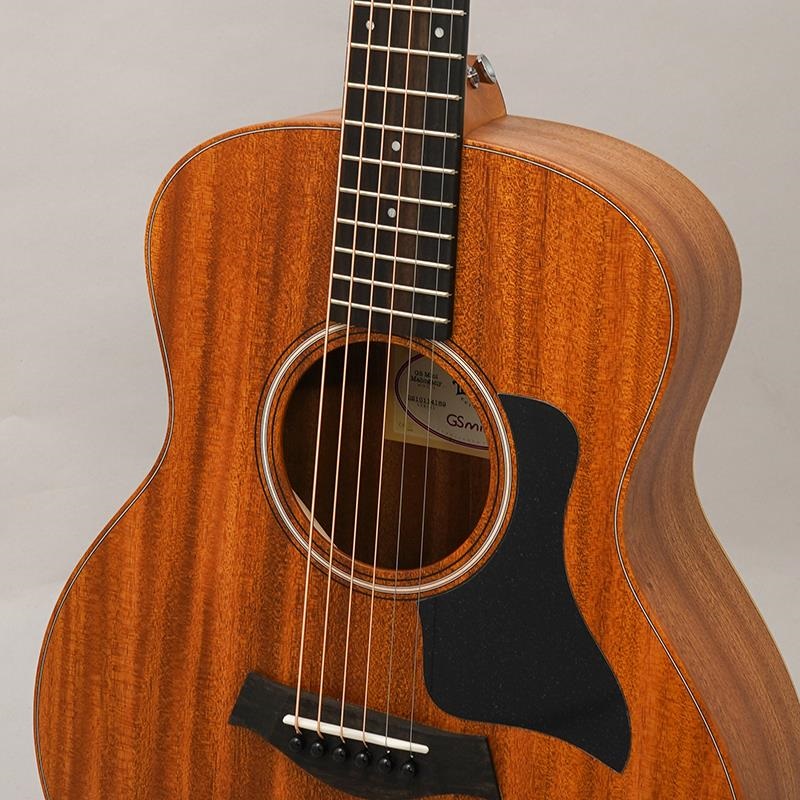 TAYLOR GS Mini Mahogany テイラー 画像6