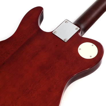 Bacchus Global Series BARON-FM (FB) 【ディバイザー大商談会2024選定品】 【特価】 画像5