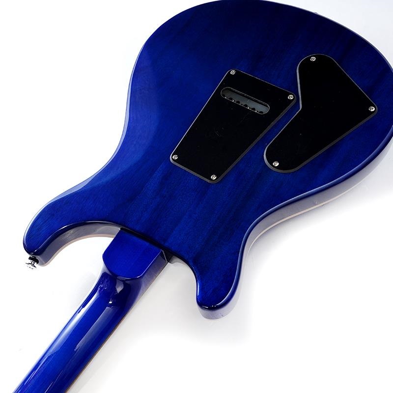 P.R.S. SE Special Semi-Hollow (Lake Blue) 画像6