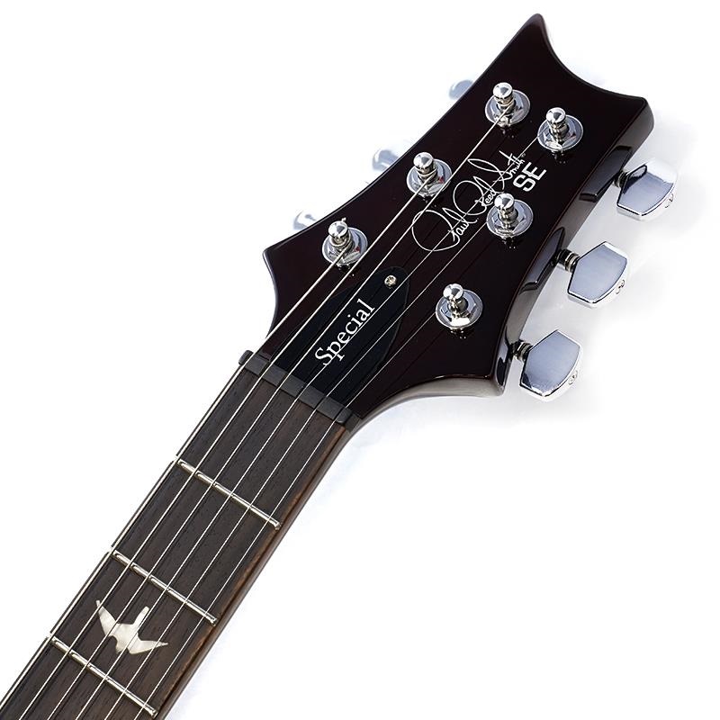 P.R.S. SE Special Semi-Hollow (Orange Tiger Smokeburst) 画像8