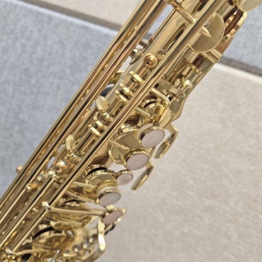 ヤナギサワ　アルトサックスA-500 ほぼ未使用YANAGISAWA 超美品 高額買取実施中!!】YANAGISAWA ヤナギサワ アルトサックス A-500