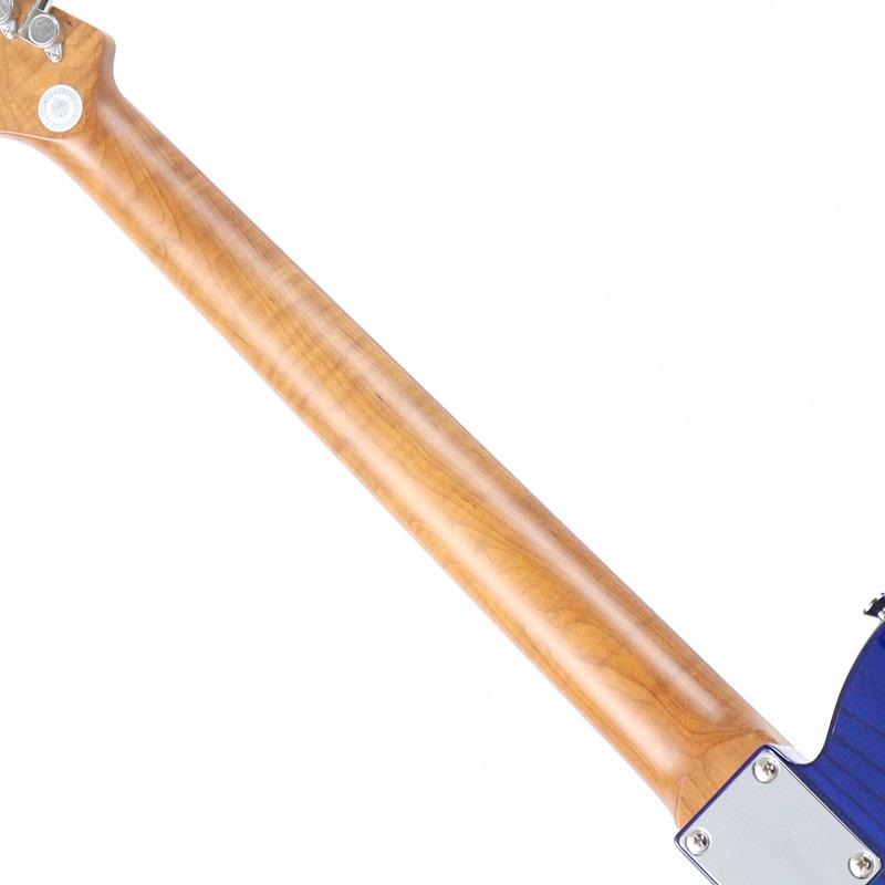 Bacchus Global Series TACTICS-ASH/RSM (STB/BLUE PG) [Limited Model] 【特価】 画像6