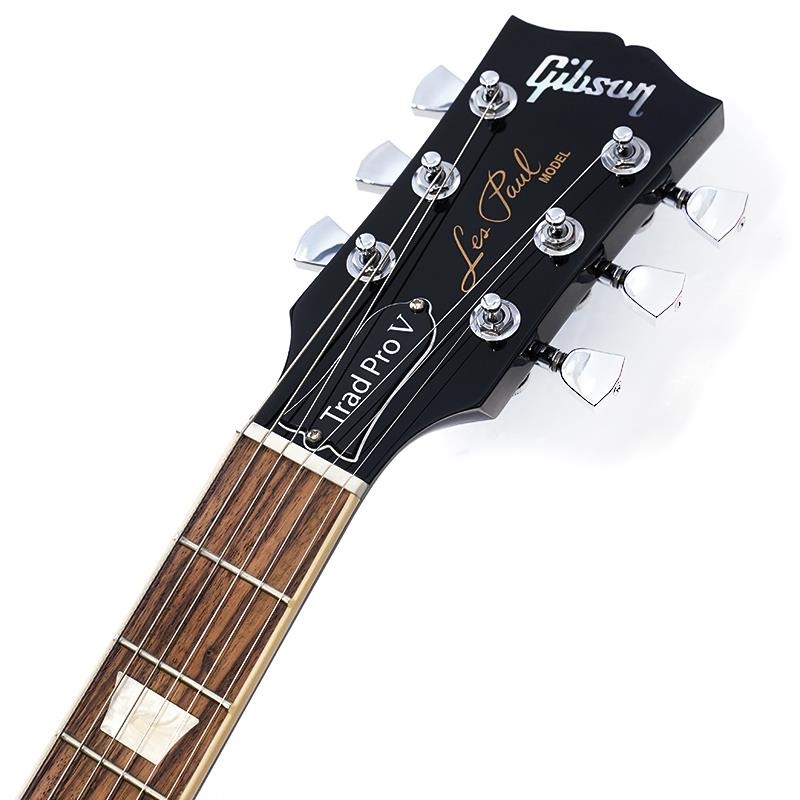 Gibson USA Exclusive Les Paul Traditional Pro V (Dark Purple