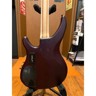 YAMAHA 【USED】 TRBX504 TBR 画像3