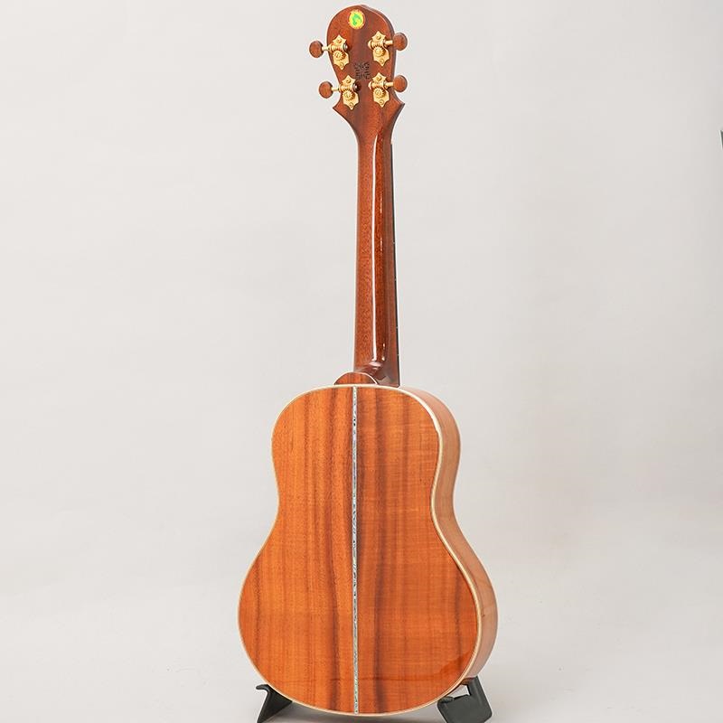 BIG ISLAND USED 中古 KX-TRG ビッグアイランド 画像1