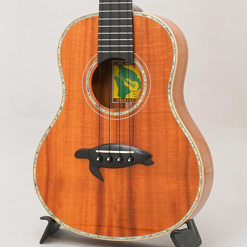 BIG ISLAND USED 中古 KX-TRG ビッグアイランド 画像2