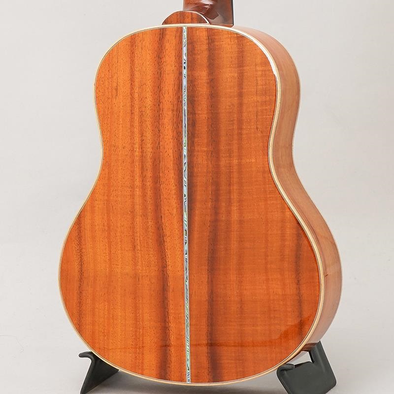BIG ISLAND USED 中古 KX-TRG ビッグアイランド 画像3